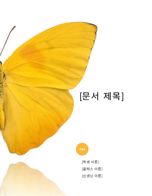 보고서